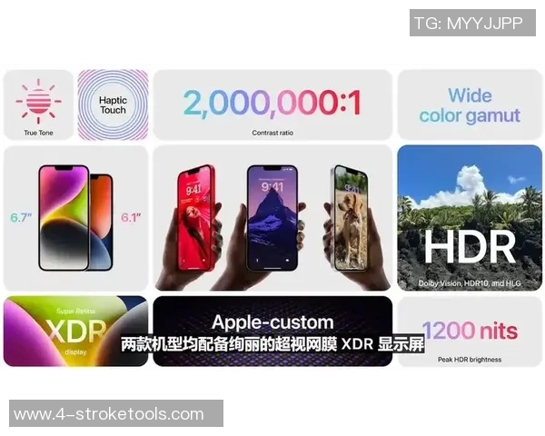 极限运动深度：解密杭州极限运动队的运营